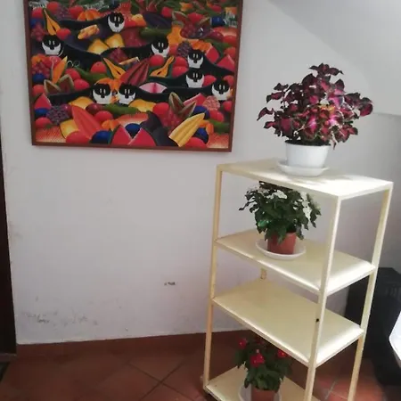 Guest house Cappucciniroom 2*